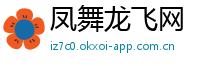 凤舞龙飞网
